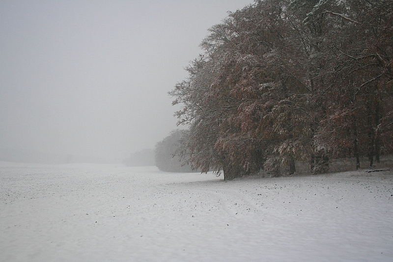 Killikus&reg; Fotographie